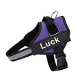 Coleira Safe Dog Guardian