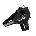Coleira Safe Dog Guardian
