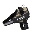 Coleira Safe Dog Guardian