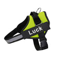 Coleira Safe Dog Guardian