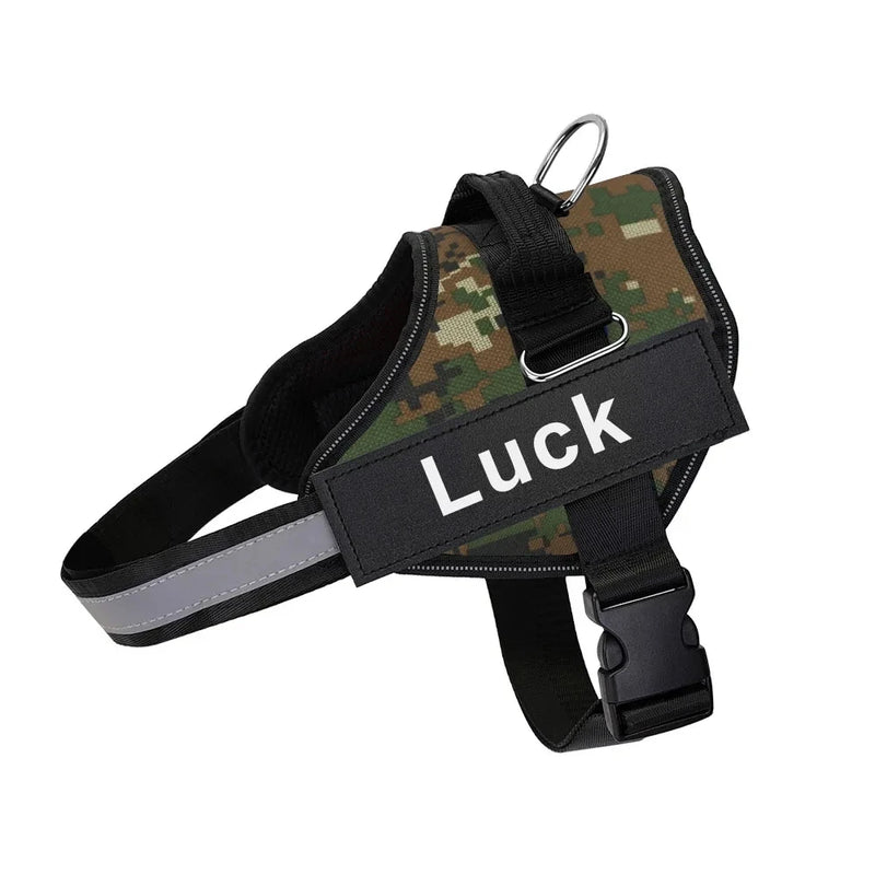 Coleira Safe Dog Guardian