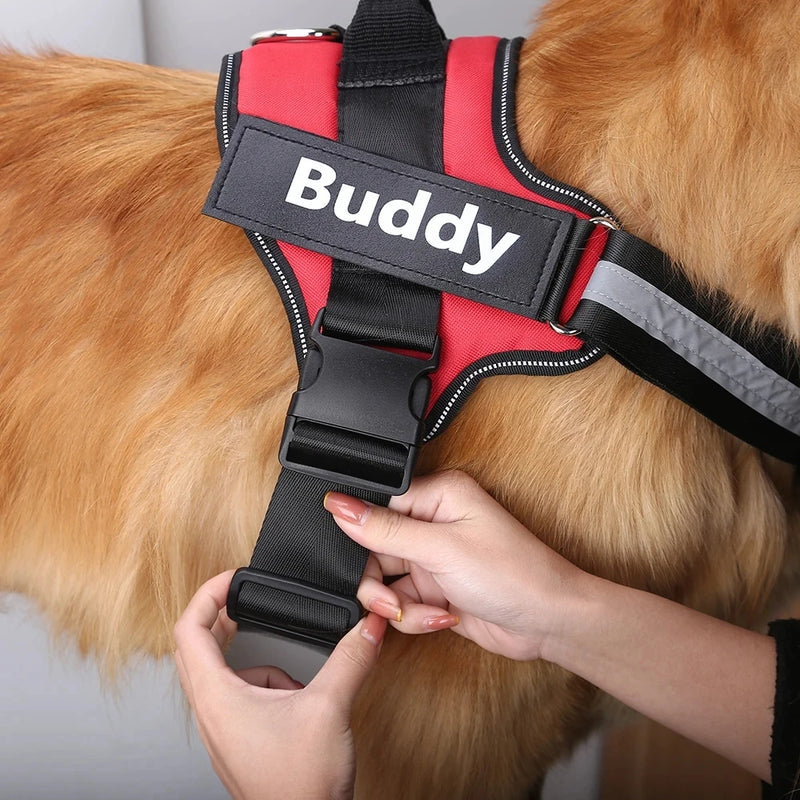 Coleira Safe Dog Guardian