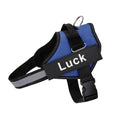 Coleira Safe Dog Guardian