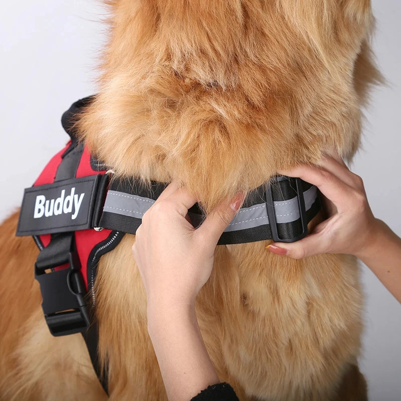 Coleira Safe Dog Guardian